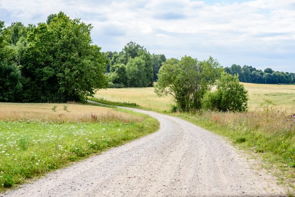 Stone Driveway Repair in Huntersville