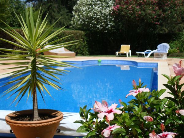 Pool Terrace Renovation in Huntersville